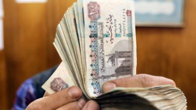 الموافقة على ترخيص شركتان لتمويل المشروعات المتوسطة والصغيرة والمتناهية الصغر