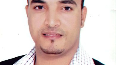 عماد نصير يكتب: انتهت الحرب وانتصرت مصر لغزة