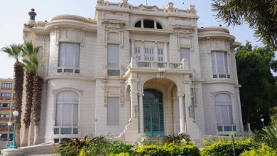 بيان صادر عن المكتب الاعلامي لجامعة عين شمس